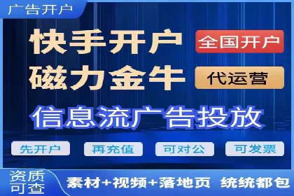 案例分析：短视频平台信息流广告效果评估